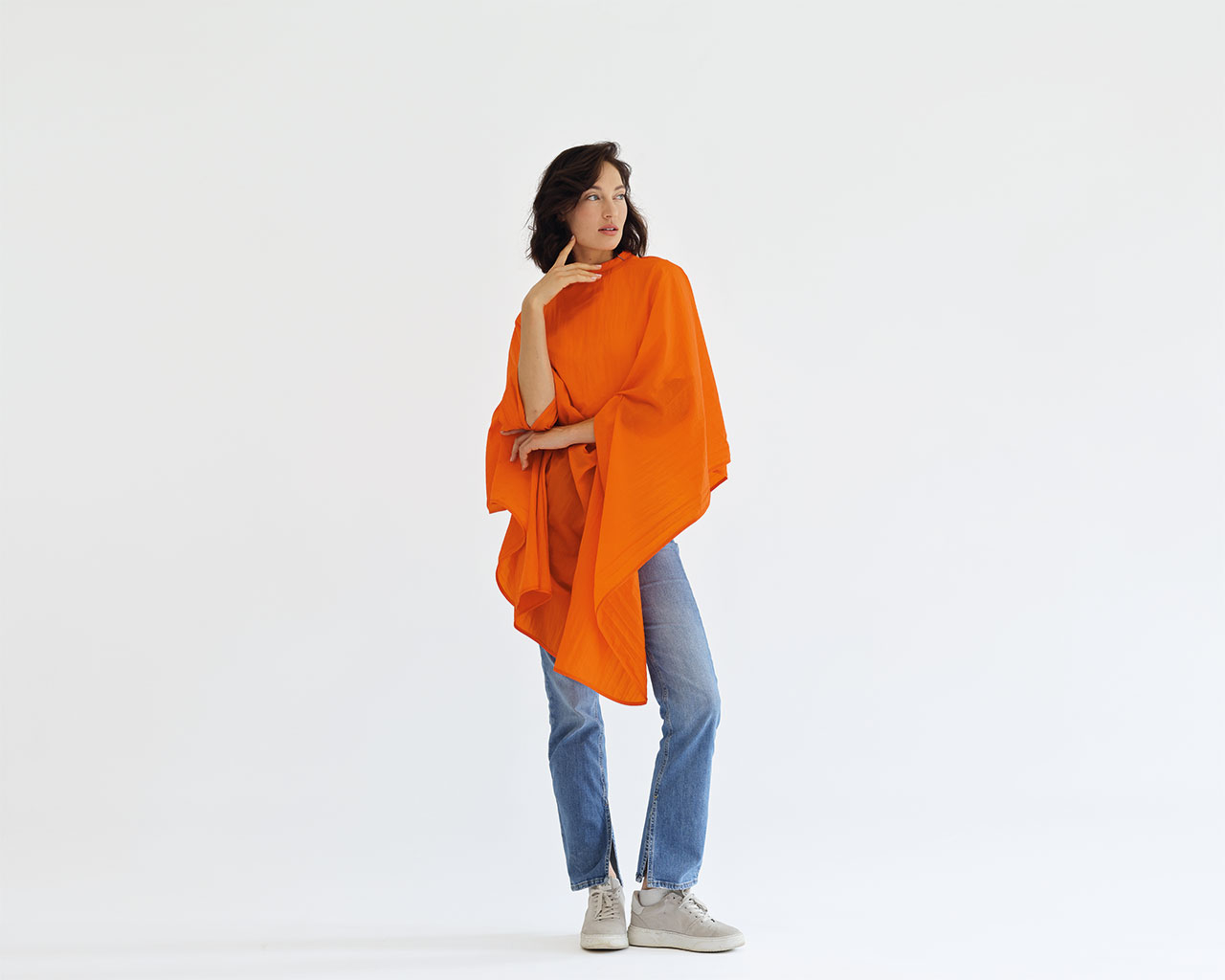 Product rollover image